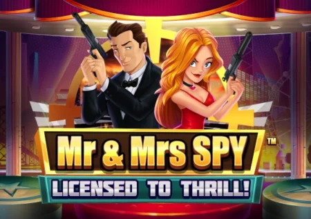 Mr & Mrs Spy