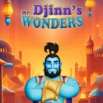 Mr. Djinn’s Wonders