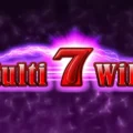 Multi 7 Wild