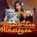 Mysterious Himalayas