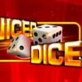 Nicer Dice 40