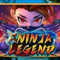 Ninja Legend