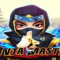 Ninja Master