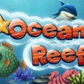 Ocean Reef