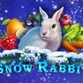 Snow Rabbit