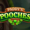 Paddy’s Pooches