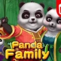 Panda Family