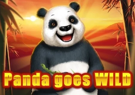 Panda Goes Wild
