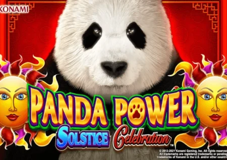 Panda Power Solstice Celebration