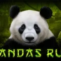 Pandas Run