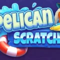 Pelican Scratch