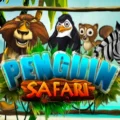 Penguin Safari