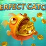 Perfect Catch