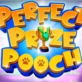 Perfect Prize Pooch