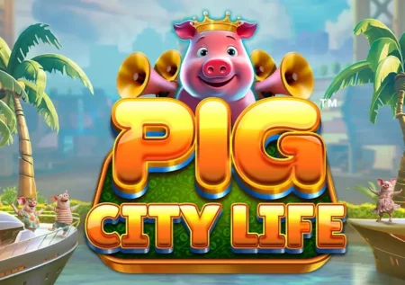 Pig City Life