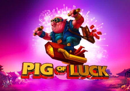 Pig of Luck