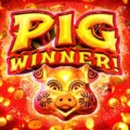 Pig Winner