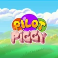 Pilot Piggy