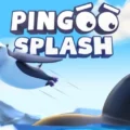 Pingoo Splash