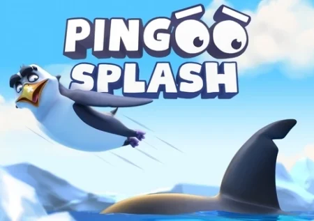 Pingoo Splash