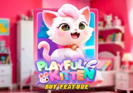 Playful Kitten Buy Feature