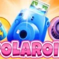 Polaroid