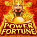 Power Fortune