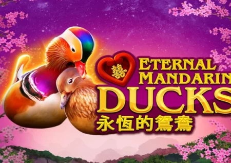 Power Prizes – Eternal Mandarin Ducks