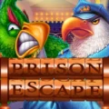 Prison Escape