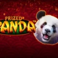 Prized Panda