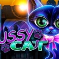Pussy Cat