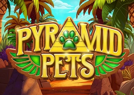 Pyramid Pets