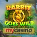 Rabbit Goes Wild