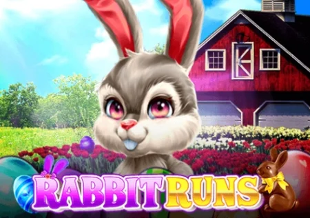 Rabbit Runs