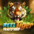 Reel Tiger