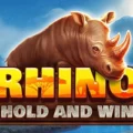 Rhino Hold and Win
