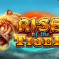 Rise of the Tiger