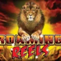 Roaming Reels