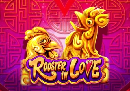 Rooster in Love
