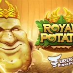 Royal Potato