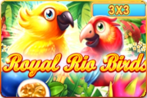 Royal Rio Birds 3×3