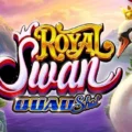 Royal Swan