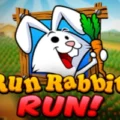 Run Rabbit Run