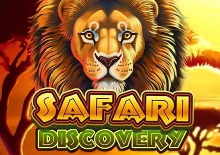 Safari Discovery
