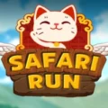 Safari Run