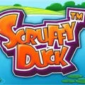 Scruffy Duck