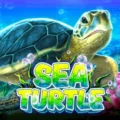 Sea Turtle
