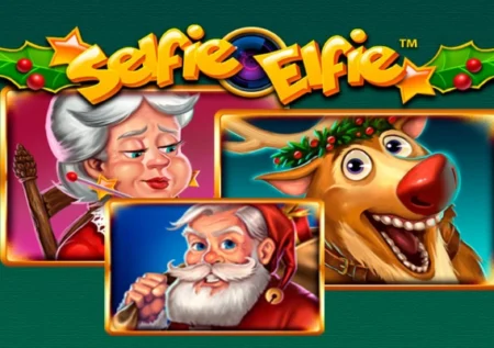 Selfie Elfie