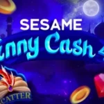 Sesame Jinny Cash 40