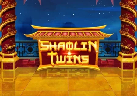Shaolin Twins